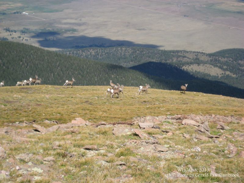 Humboldt Peak3