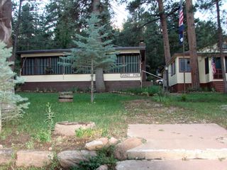 Shady Pine
