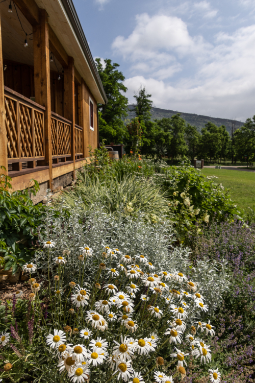 Dotson Cabin 