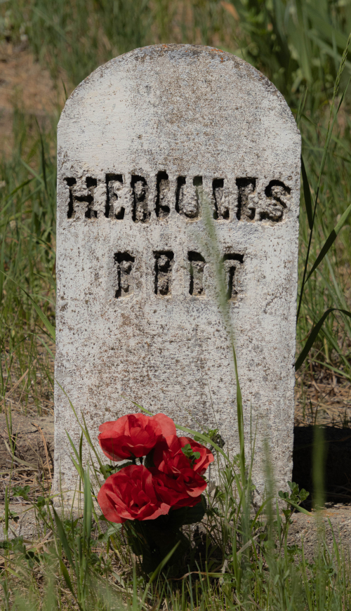 Hercules