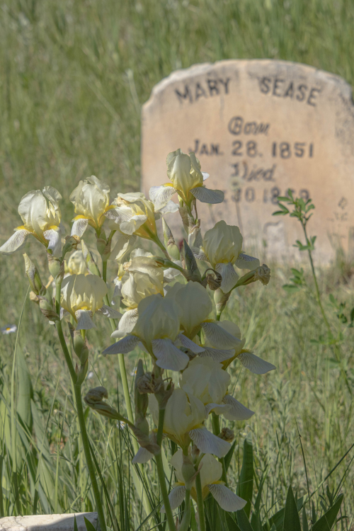 Mary Sease and Iris