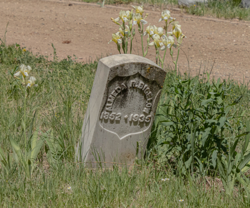 Bigelow and Iris