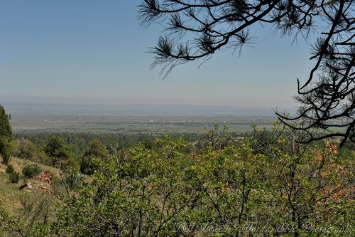 Trinity Ranch Tour