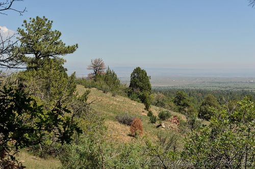 Trinity Ranch Tour