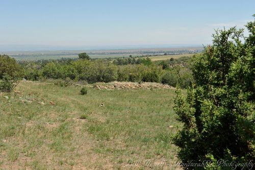 Trinity Ranch Tour